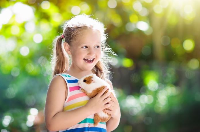 best pets for kids, best pets for kids with allergies, pets for kids, popular pets for kids, famous pets for kids, small pets for kids.