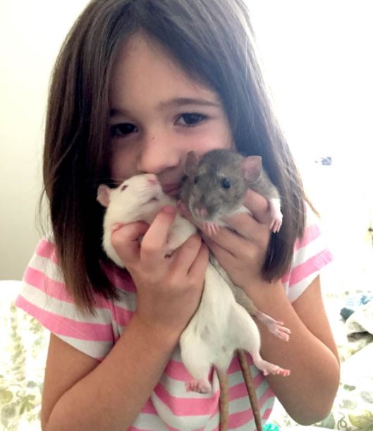 best pets for kids, best pets for kids with allergies, pets for kids, popular pets for kids, famous pets for kids, small pets for kids.