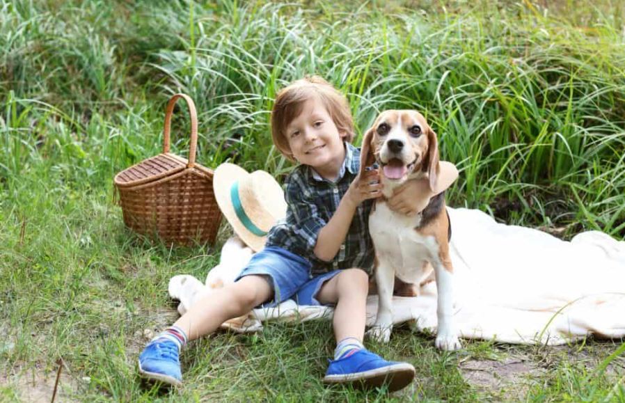 top 10 most kid-friendly dog breeds, top 10 most child-friendly dog breeds, famous child-friendly dog breeds