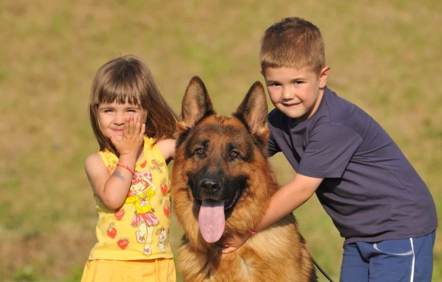 German Shepherd top 10 most kid-friendly dog breeds, top 10 most child-friendly dog breeds, famous child-friendly dog breeds