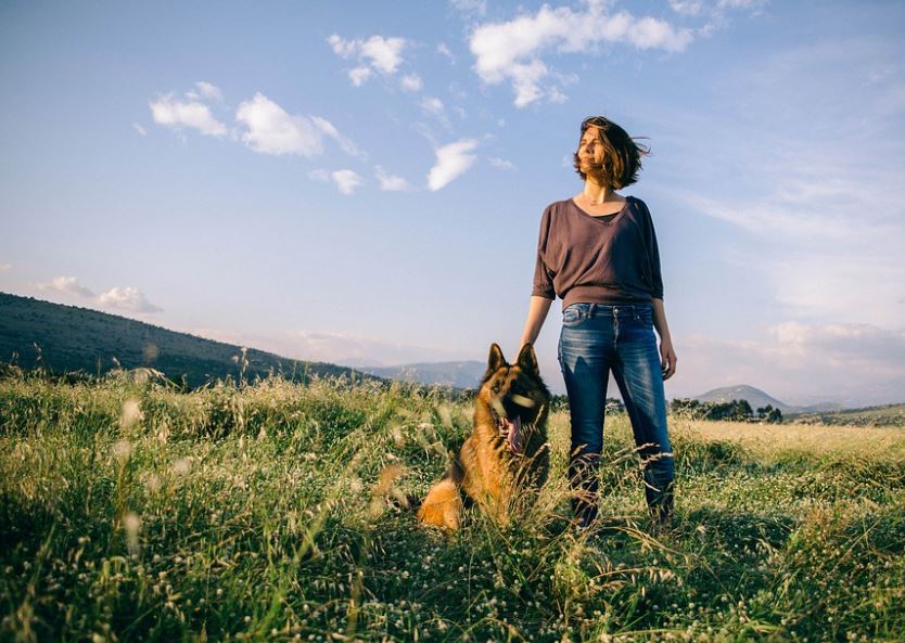 German Shepherd loyal dog breed, most adopted as a loyal dog breed, famous loyal dog breeds, most loyal dogs breeds around, most loyal dog breeds, type of loyal dog breed, top 10 loyal dog breed, best loyal dog breed, famous loyal dog breed