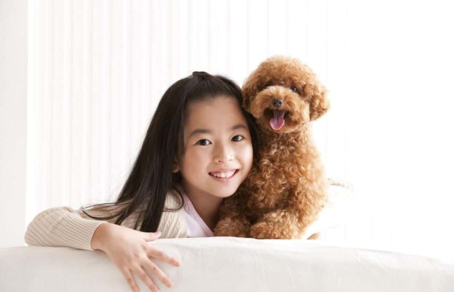 top 10 most kid-friendly dog breeds, top 10 most child-friendly dog breeds, famous child-friendly dog breeds, Popular kid-friendly dog breeds