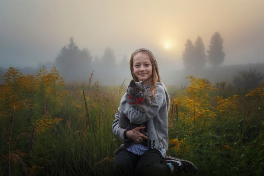 Cats Respect the Personal Space of Humans why cats are better than dogs, reasons why cats are better than dogs, cats are better than dogs debate, scientific facts why cats are better than dogs, should I get a dog or cat, why cats are better than dogs, cats vs dogs facts
