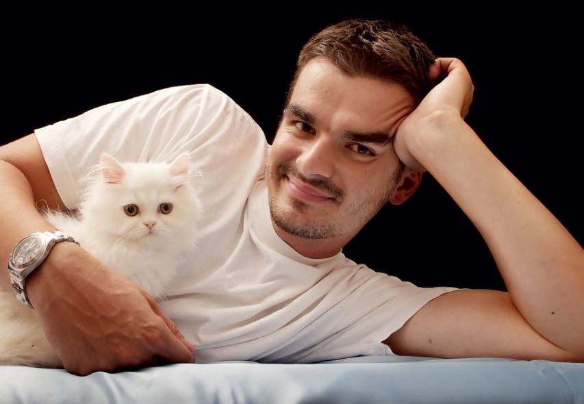Owning a Cat Might Make You More Intelligent cats vs dogs: which is better, why cats are better than dogs, reasons why cats are better than dogs, cats are better than dogs debate, scientific facts why cats are better than dogs