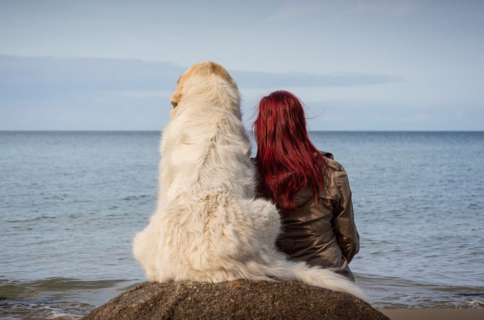 fun things to do with your dog at home, fun things to do with your dog in quarantine, fun things to do with your dog at home outside, fun things to do with your dog near me