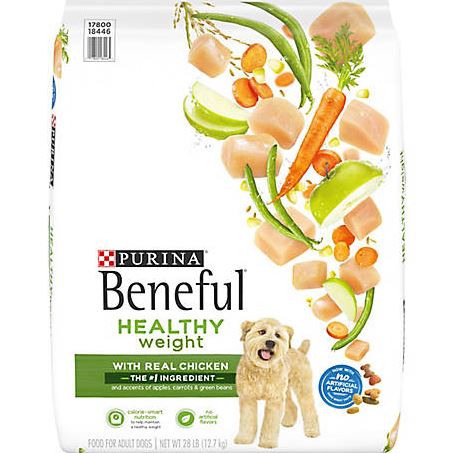 Top 10 Best Dog Foods For Winter What to Feed Your Dog in Winters