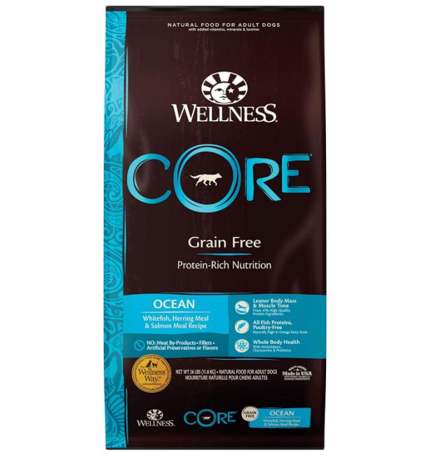 Wellness Core Natural Winter Dog Food best dog food brands, vet recommended dog food, best dry dog food for winter, vet recommended dog food for winter, best dog food for small dogs for winter, what to food dog in winter