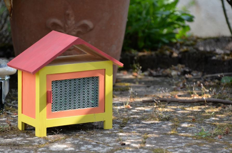 Indoor or Outdoor how much space does a rabbit need in its cage, rabbit cage size guide, what size hutch for 2 rabbits, rabbit cage size for breeding