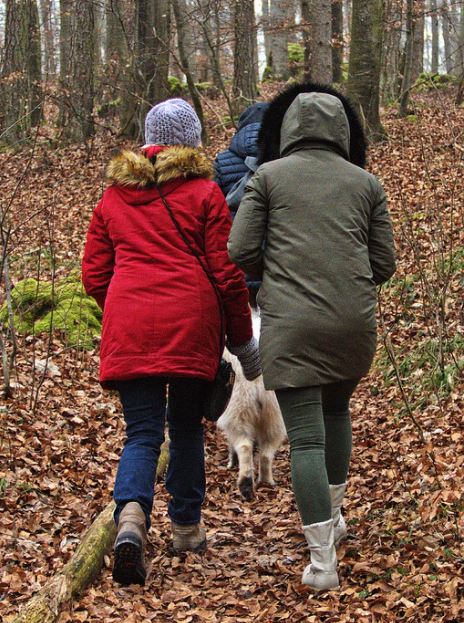 Teach Your Dog to Hide and Seek things to do with a puppy in the winter, dog-friendly winter activities, winter activities for dogs, what to do with my dog in winter
