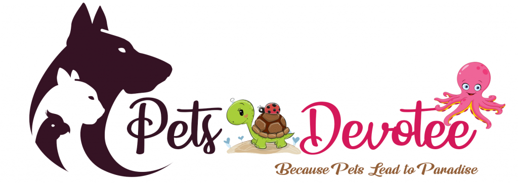 How to Keep Your Pets Safe Around Wildlife-Petsdevotee - Pets