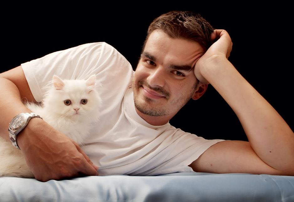 Top 10 Things To Do While Playing With Your Persian Cat Pets