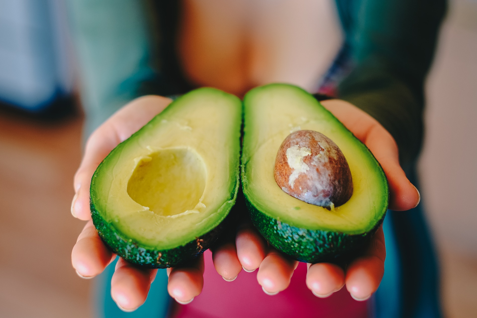 Avocado most dangerous food for dogs, unsafe food for dogs, most poisonous foods for dogs, deadly food to dogs