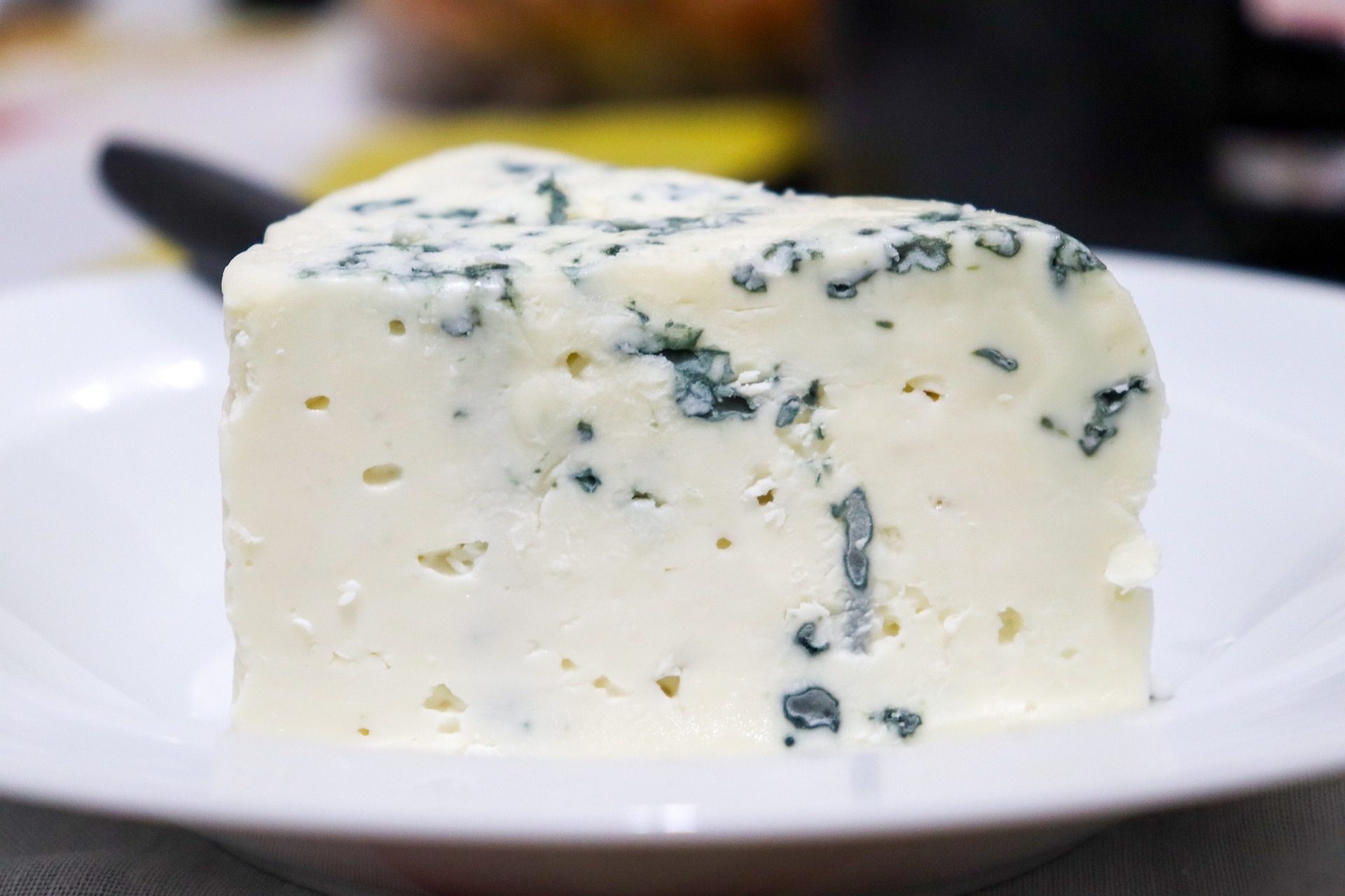 Blue cheese unsafe food for dogs, most poisonous foods for dogs, deadly food to dogs, dangerous foods for dogs