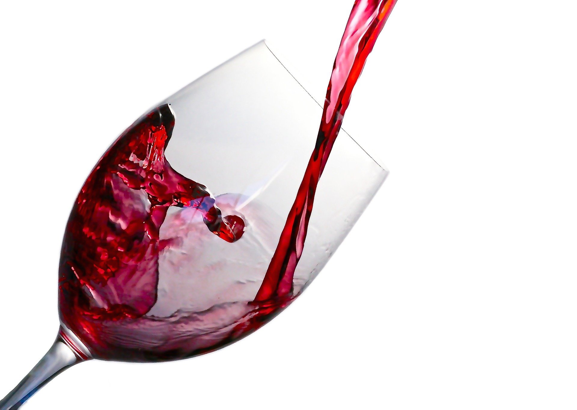 Alcohol unsafe food for dogs, most poisonous foods for dogs, deadly food to dogs