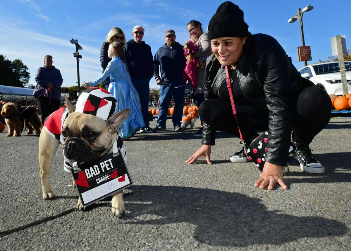 dog friendly events,dog events near me,dog friendly pumpkin patch near me,dog events near me 2021