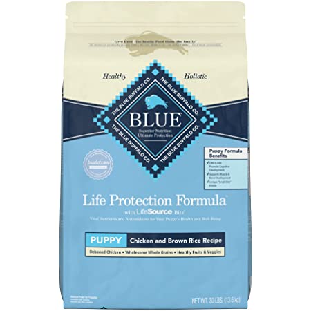 Blue Buffalo Life Protection Formula best food for puppy, best foods for puppy dog, best puppy food for 8 week olds, best food for puppies with diarrhea, best food for puppy to gain weight