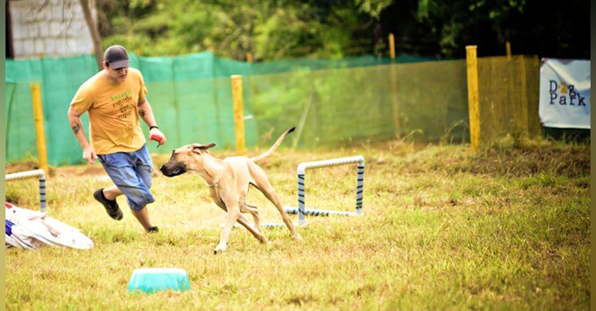 Dog Park on Ice for the Holidays dog friendly events,dog events near me,dog friendly pumpkin patch near me,dog events near me 2021
