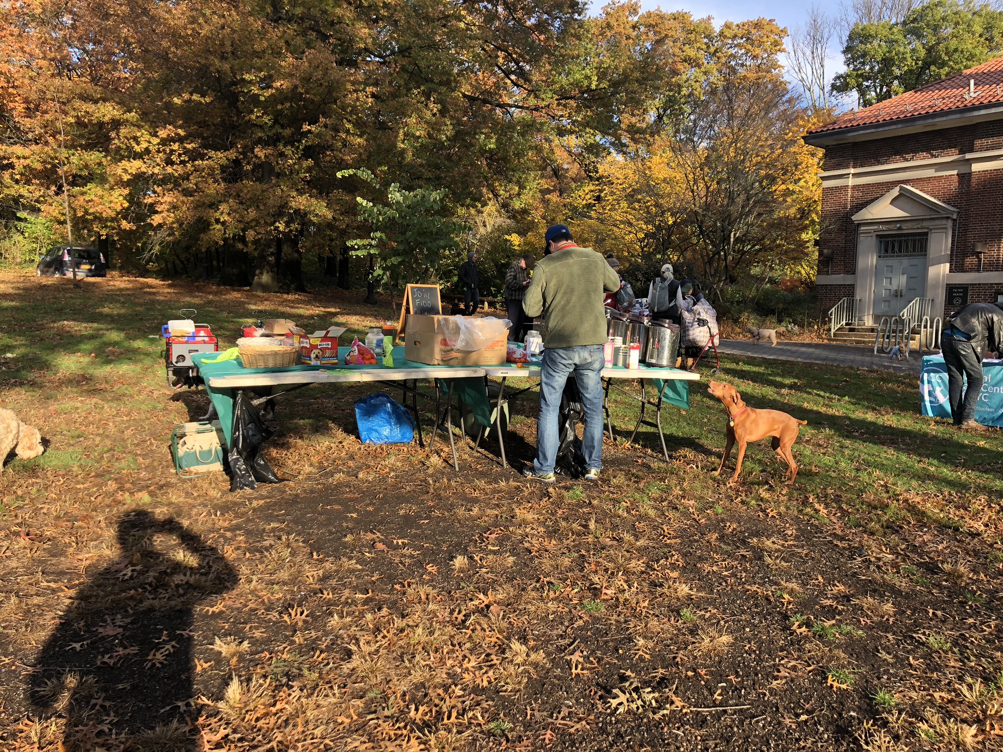 Top 11 Best Dog Friendly Events In Your City Dog
