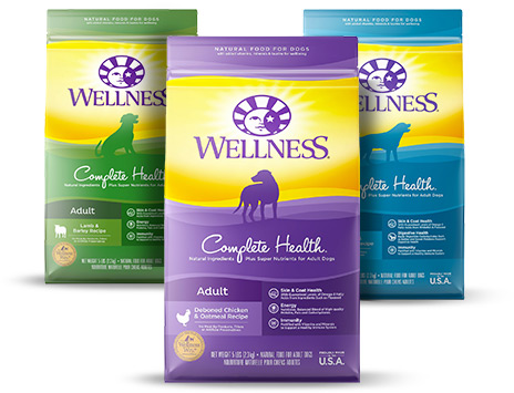 Wellness Complete Health best food for puppies with diarrhea, best food for puppy to gain weight, top dog food, top puppy food brand, best dry puppy food