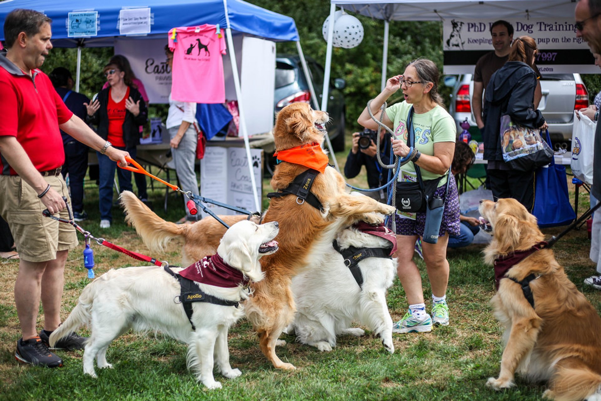 dog friendly pumpkin patch near me,dog events near me 2021,Best dog friendly events