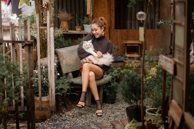 tips-for-finding-your-lost-cat-how-to-find-your-lost-cat-cats