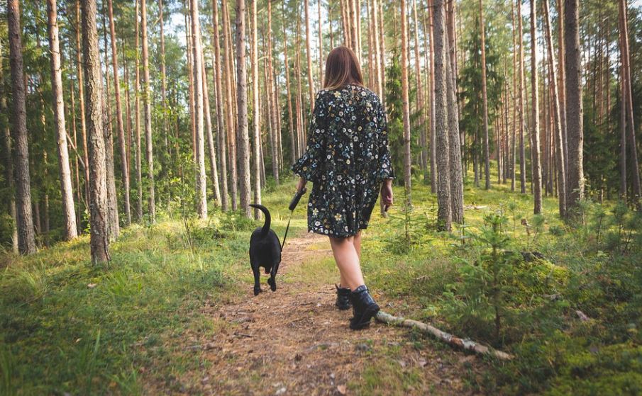Take your dog on a walk before leaving the house calming music for dogs, dogs anxiety symptoms, separation anxiety dogs symptoms, dogs anxiety