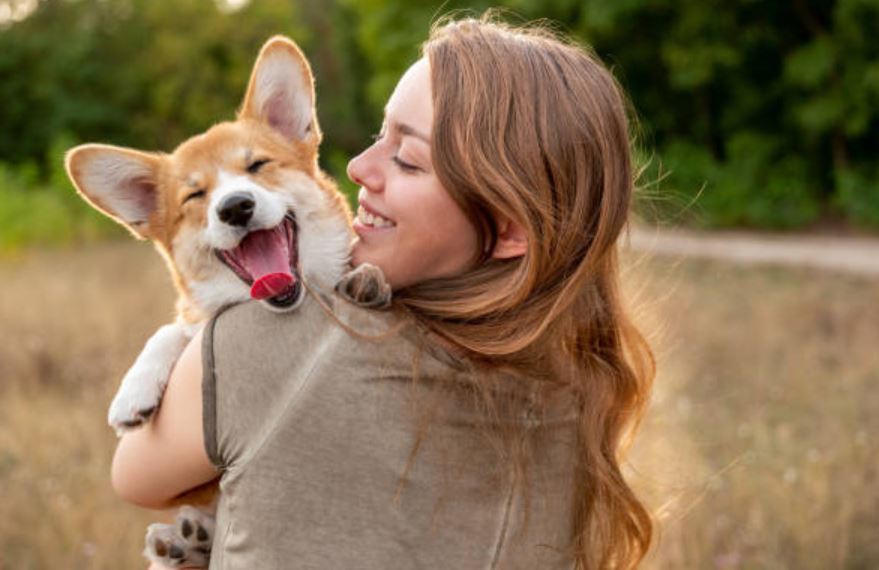 cope with the death of your goofy partner,cope with the trauma of your pet’s death,methods to cope with the loss of a pet,cope with the loss of pets