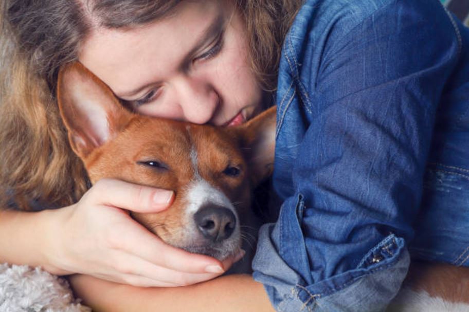 cope with the trauma of your pet’s death,methods to cope with the loss of a pet,cope with the loss of pets