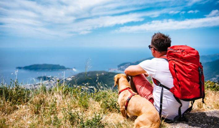 Things You Should Know Before You Go Hiking with Your Dog