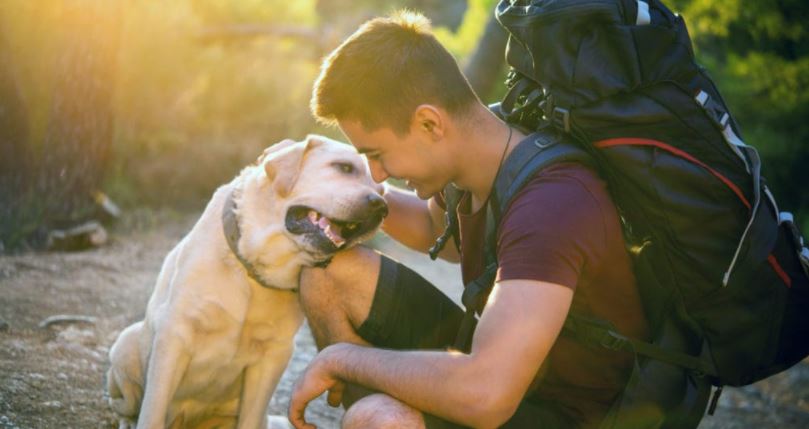 Go Hiking with Your Dog, hiking trip enjoyable and fun-filled with your best pet partner, tips to make hiking trip comfortable for your hound