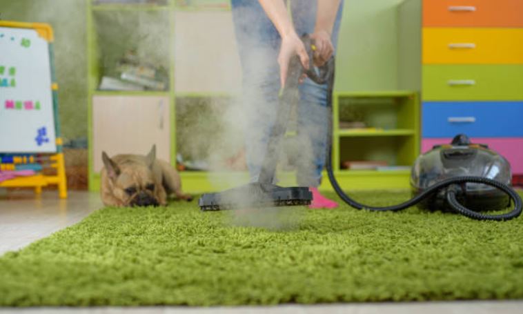 Always use Window Squeegees with a vacuum cleaner Tips to clean pet’s hair,Best tips to clean pet's hair,tips to clean a pet’s hair,pocket-friendly method to clean pets' hair