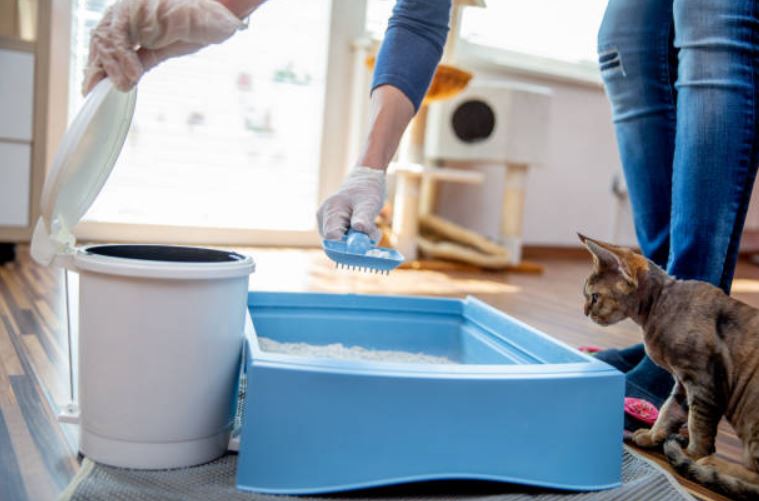 keep your house clean along with managing multiple pets,hacks to keep your home clean with multiple pets