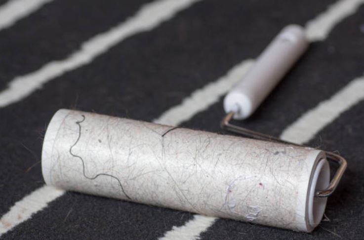 Use a Roll of Tape Cleaning Tips to Keeping Your Home free from Pet Hair,Tips to clean pet’s hair,Best tips to clean pet's hair,tips to clean a pet’s hair,pocket-friendly method to clean pets' hair