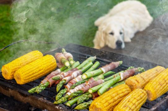 Asparagus Healthiest dog foods,foods that dogs should not eat,best fruits and vegetables for dogs
