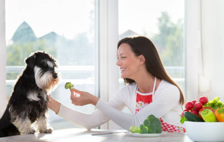 Broccoli Healthiest dog foods,foods that dogs should not eat,best fruits and vegetables for dogs