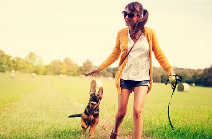 German Shepherds are agile best 10 reasons why we should own a German Shepherd, German Shepherd a Good Family Dog, own a German Shepherd, German Shepherd a great choice for a family pet, exceptions of owning a German Shepherd, German Shepherd makes it a perfect family pet,owning a young German Shepherd,German Shepherd as the best family dog,German Shepherds are the best family dogs