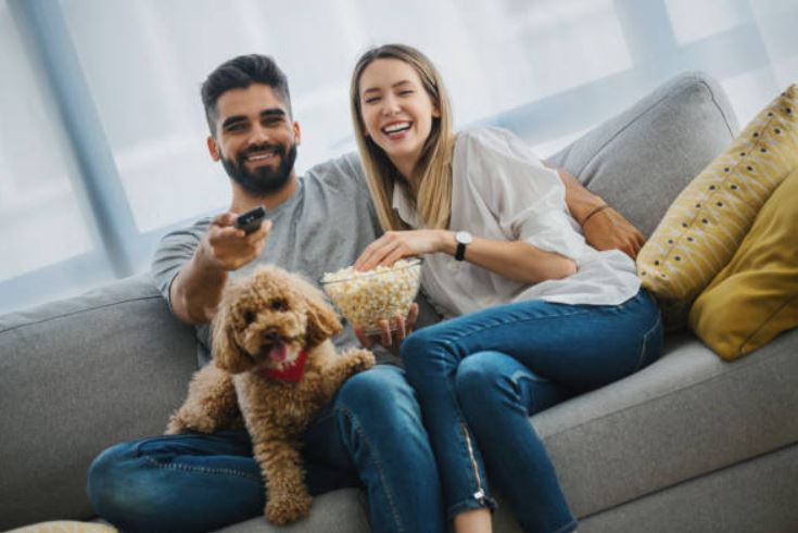  tips to engage your pet in family gatherings,include your pet in family functions,best ways to Include Your Pet in celebrations