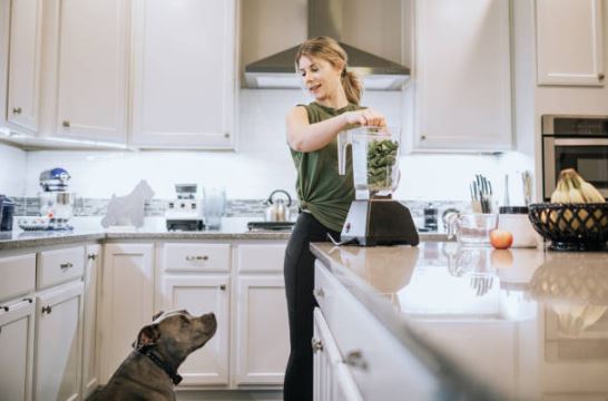 Spinach Healthiest dog foods,foods that dogs should not eat,best fruits and vegetables for dogs