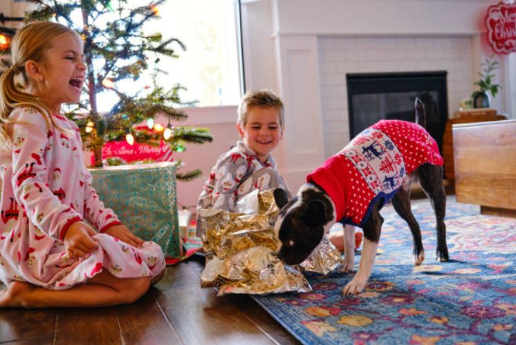 Let Your Dog Go Wild While Unwrapping His Gifts! easy ways to make your dog’s birthday memorable, best way to celebrate your dog's birthday,celebrate your dog's birthday at home,best way to celebrate dog's birthday,fun ways to celebrate your dog's birthday