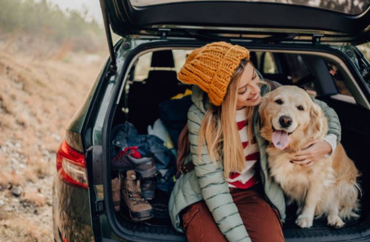 Plan a solo trip with your furry partner celebrate your dog's birthday at home,best way to celebrate dog's birthday,fun ways to celebrate your dog's birthday places to celebrate your dog's birthday,amazing ideas to celebrate dogs’ birthday,celebrate dog’s birthday
