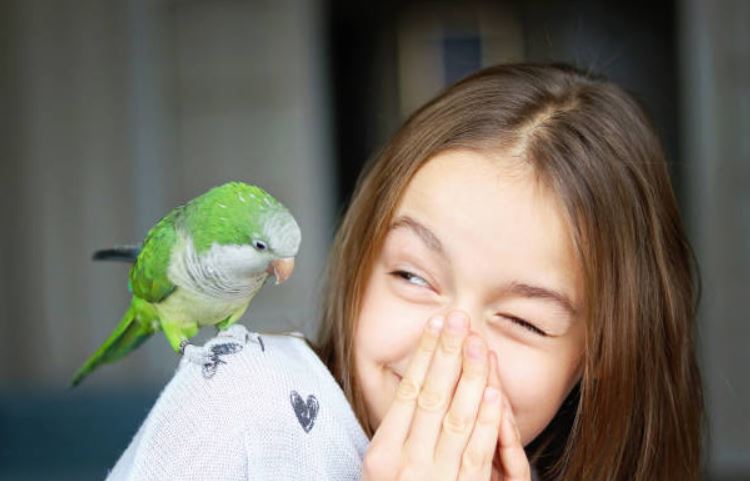 Exercise your birds How to take care of a pet bird,Caring for Your Pet Bird,how to take care of love birds