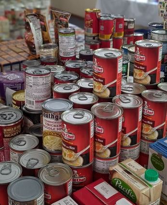 Reduction in use of plastic products ways to be an eco-friendly pet parent, easy ways to be an eco-friendly pet parent, eco friendly dog food, sustainable dog food, dog magazine, dog tips, dog advice