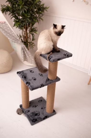 Buy a scratching post cat scratching furniture, stop cats from scratching furniture, keeping cats off of your furniture, keep cats off from scratching furniture, protect furniture from cats, spray to keep cats away from furniture, cats scratching