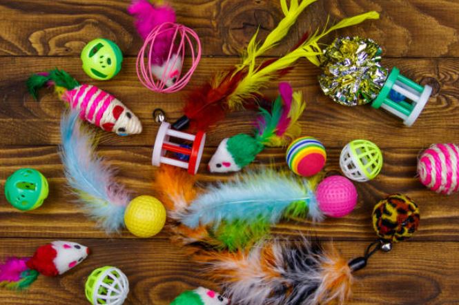 Make sure your cat has plenty of toys cat scratching furniture, stop cats from scratching furniture, keeping cats off of your furniture, keep cats off from scratching furniture, protect furniture from cats, spray to keep cats away from furniture, cats scratching, best way to keep cats from scratching furniture, protect couch from cat, stop cats scratching carpet