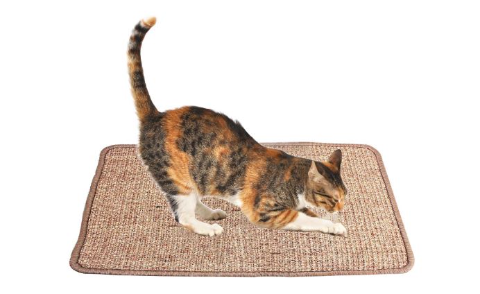 Put down some anti-scratch mats protect furniture from cats, spray to keep cats away from furniture, cats scratching, best way to keep cats from scratching furniture, protect couch from cat, stop cats scratching carpet, cat scratching post, how to stop cats from scratching furniture, why do cats scratch, why cats scratch, protect your furniture from cats, stop your cat from scratching your furniture