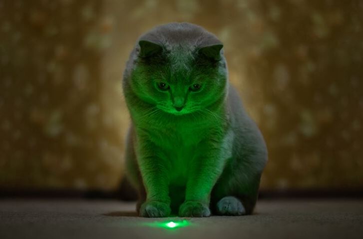 Use a laser pointer protect furniture from cats, spray to keep cats away from furniture, cats scratching, best way to keep cats from scratching furniture, protect couch from cat, stop cats scratching carpet, cat scratching post, how to stop cats from scratching furniture, why do cats scratch, why cats scratch, protect your furniture from cats, stop your cat from scratching your furniture