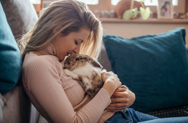Be prepared to handle your rabbit Prepare yourself for pet rabbit,pet rabbit,Preparing for First Rabbit,pet rabbit, cute rabbit,rabbit care,pet rabbit care,owning a rabbit,rabbit needs,Rabbit care tips, care of rabbits