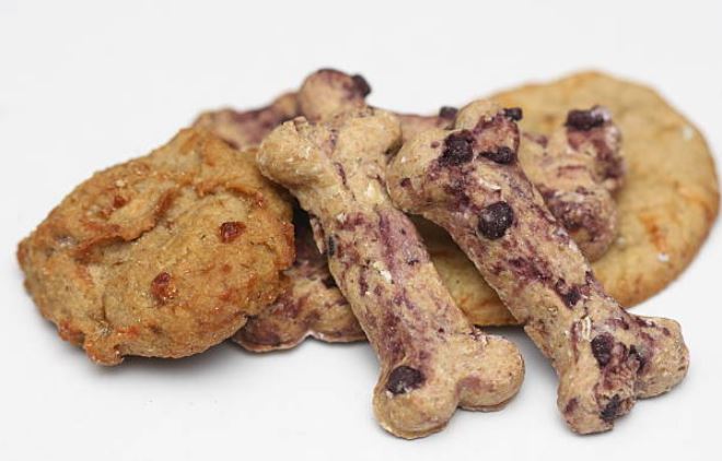 puppy cookies, treats for dogs, homemade dog treats, dog biscuits, dog treat for christmas