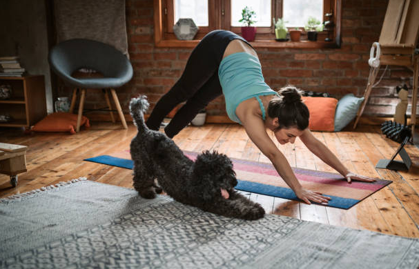 fun ways to exercise your pet,exercise for pets with joint issues, fun ways to exercise,Obedience training for dogs, ways to exercise with your dog,unique way to exercise with your pet, fun ways to exercise at home,5 ways pets can improve your health