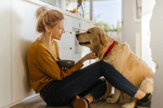 dog mental health, dog mental health issues, dog mental health benefits, mental health dog training, mental well being for dogs, can a dog be mentally ill, benefits of having a dog mental health, well being for dogs, wellness for dogs, wellbeing for dogs